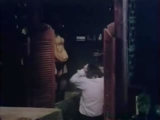 Enchanting sikiş in 1970