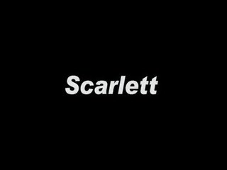 Scarlett 鱼网 brick 墙